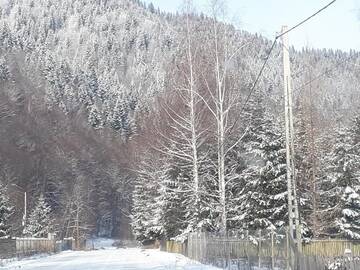 Фото номера Дом для отпуска Дома для отпуска Casa Petro г. Brateş 81